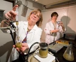 Biopaliwa nie tak ekologiczne?